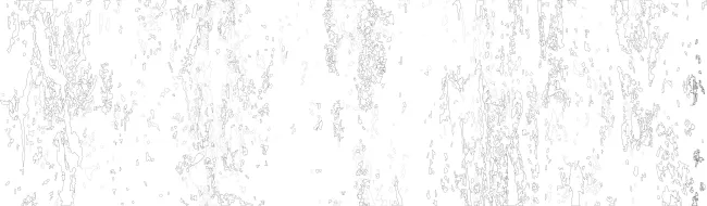 Facade Drawing